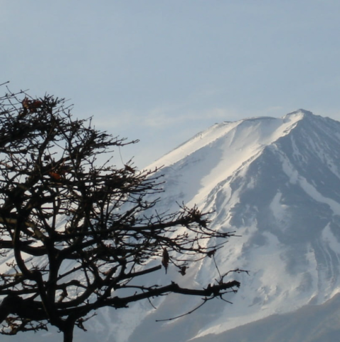 Camping on Mons Piton  Snow Peak: The Heritage Brand