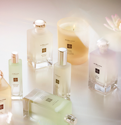 Scent Fallen