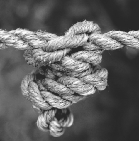 Rope: A String of Possibilities