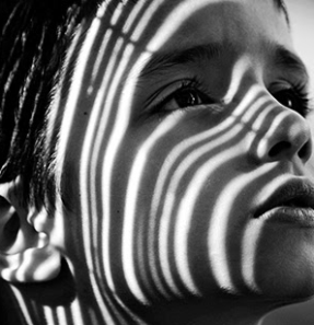Capturing the Light
