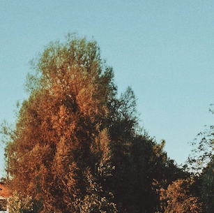 Summer Nostalgia