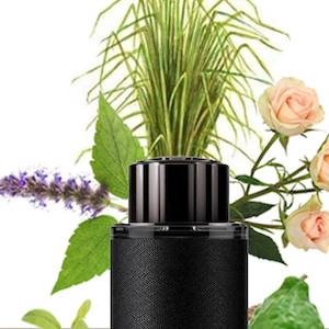 Scent to Travel