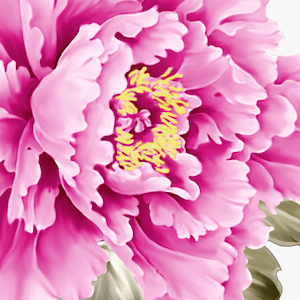 Love Flowers