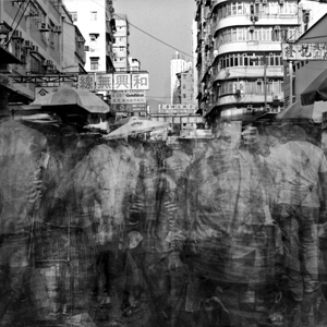 Through the Lens