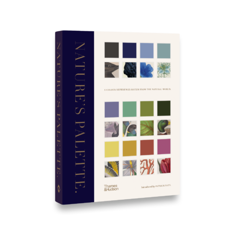 Palette of Life