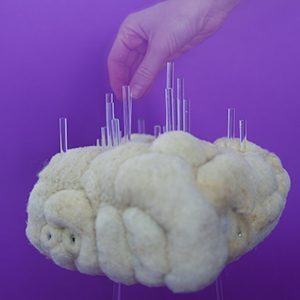 The Sound Of Wool