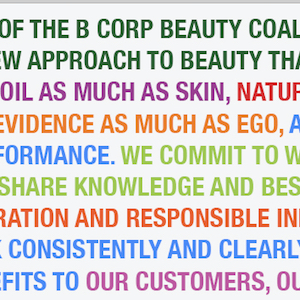 B Corps Rising