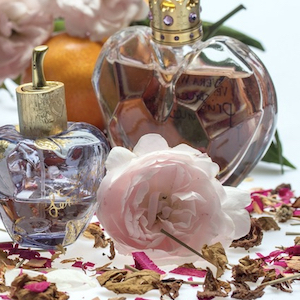 The Scent of the App
