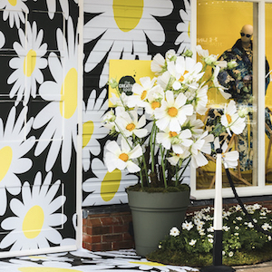 The Daisy Shop