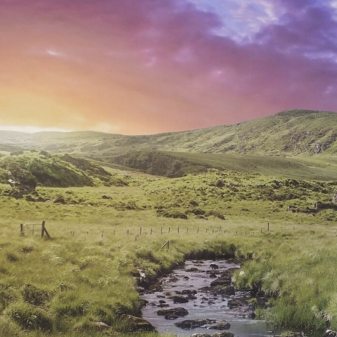Wild Ireland