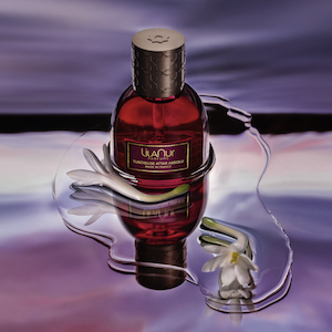 The Scent I fell Into