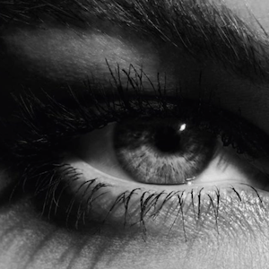 Lash Flutter