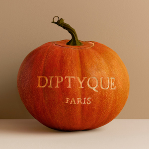 Spice of the Season