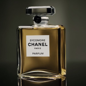 The Vetiver Allure