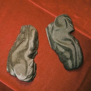 Fashion’s Future, Future’s Fashion