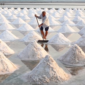 Salt Is Everything