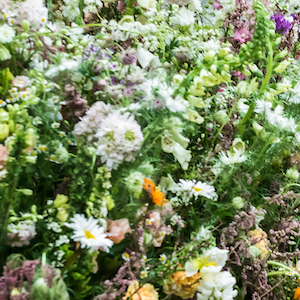 A Floral Paris In London