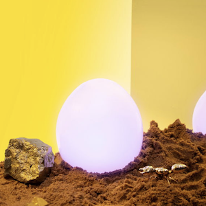 Circle of life: Complete, harmonious, and unique in design
