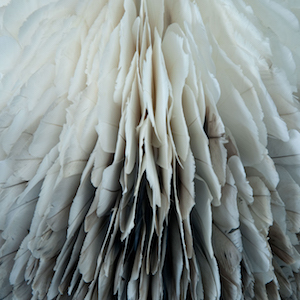 A Rustle of Silky Feathers; A Powerful Vision by Kate MccGwire