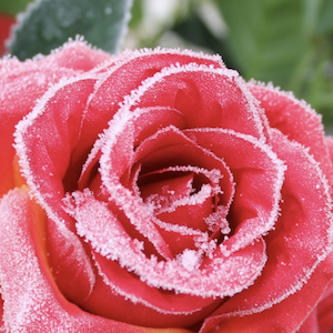 Effective Heating System Maintenance: Tips and Tricks