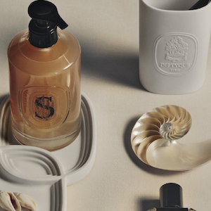 The Bathroom’s History from Ancient times to Modern Luxury