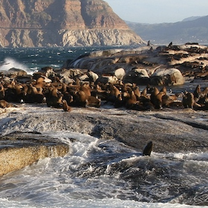 Why South Africa Should Top Your Travel Bucket List in 2025