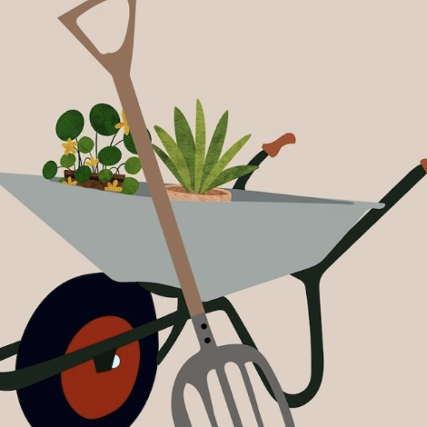 Establishing Your First Crop Garden: A Practical Guide for Couples