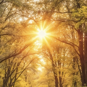 Funerals in the UK: Traditions of Funeral Practices