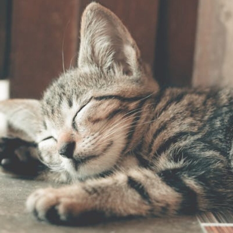 Creating the Perfect Wind-Down Routine for a Stress-Free Night