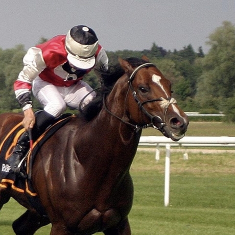 The Fences That Determine a Grand National winner