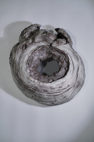 From Hearing to Feeling: The New Function of Sound