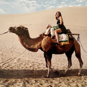 The Silk Road Map: A New History of Food