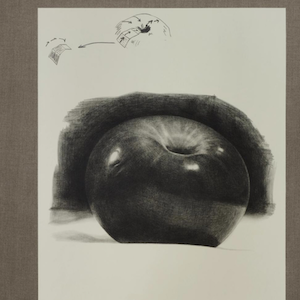 Frieze London 2025 Explores  The Beautiful World Of Modern Art