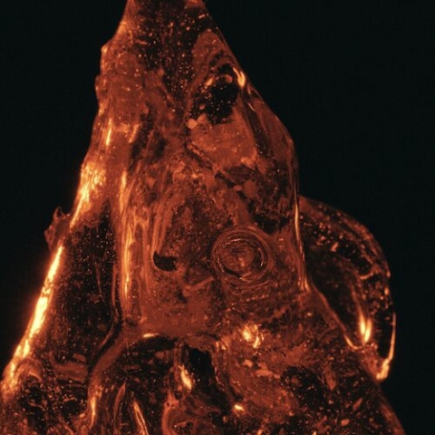 What Is Ambergris: The Rarest Ingredient In Luxury Perfume