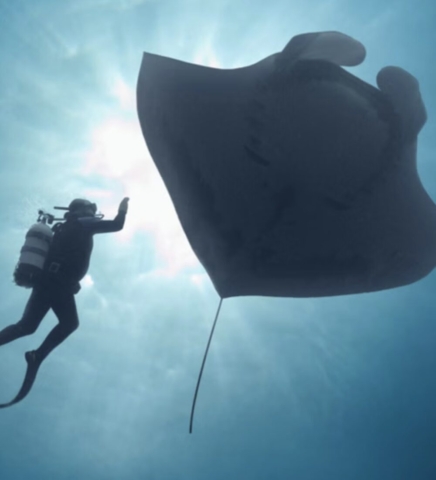 Film Shorts In A Real World