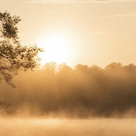 New Essentials: How Personal Habits Are Being Redefined