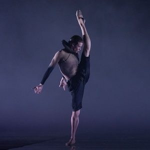A Beautiful Stream of Consciousness, Meets Stunning Physical Intelligence