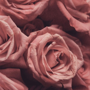Perfume Trade History: How the Silk Road Scented the World