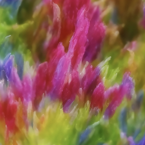 What Is Colour Psychology? Angela Kyte Highlights Exciting Information