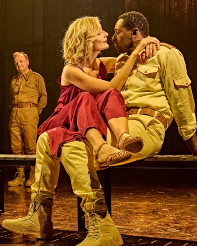 Human Experience Enveloped in Shakespeare’s Works. The New Othello