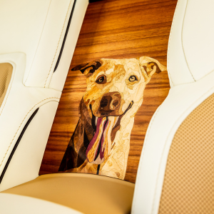 Inside the Rolls‑Royce: The Hidden Marks of Luxury You Were Never Meant to See