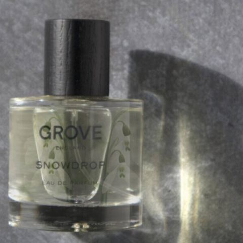 The Devoted Snowdrop A Masterful Little Flower To Love