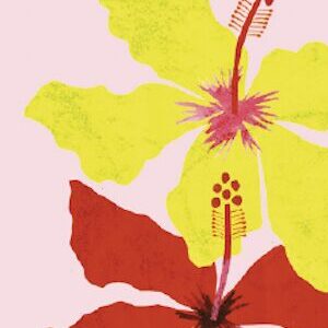 A Love Letter to Lost Flavours and a Grandmother’s Kitchen
