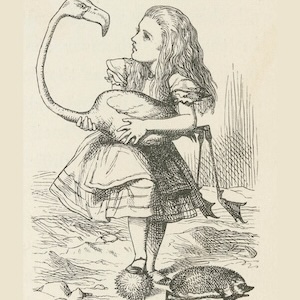 The Real Alice and Remarkable Secrets of Wonderland World