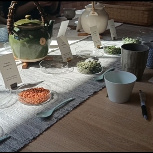 When Unique Tea Meets Beautiful Chair: A Fantastic Collaboration